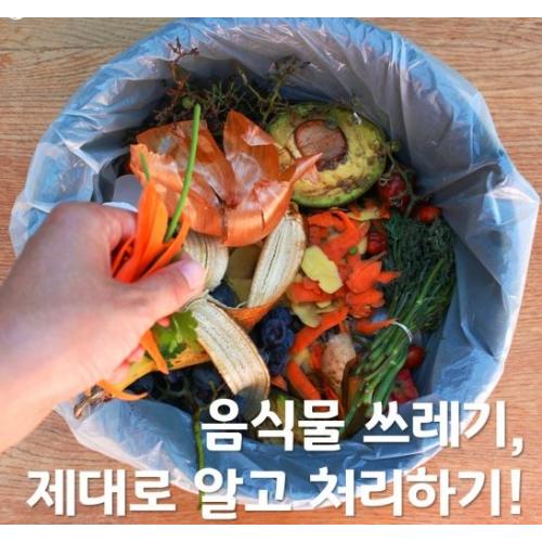 선수사진
