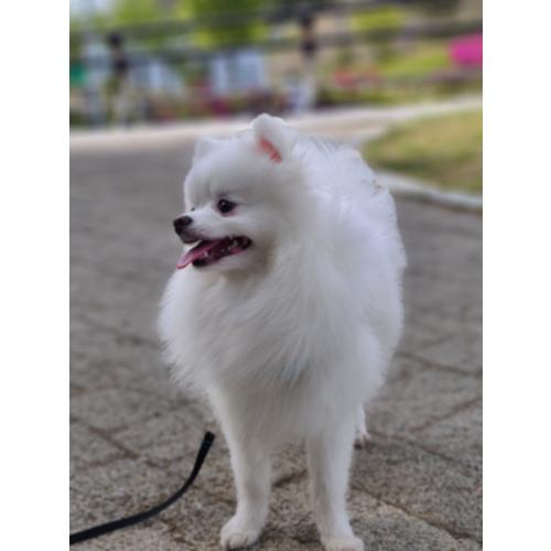 안기업